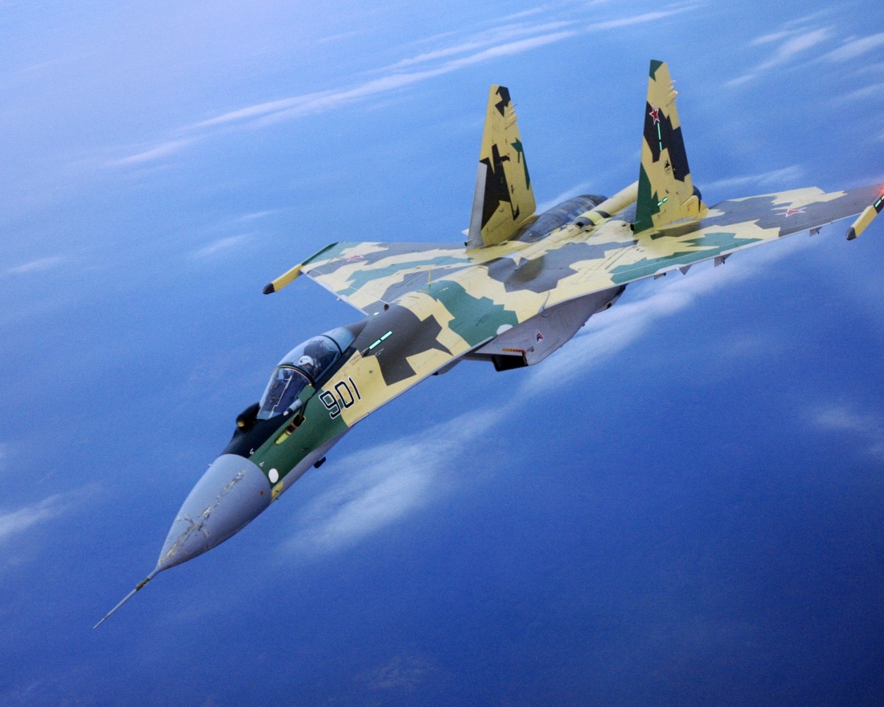 Camouflage Fighter Flight