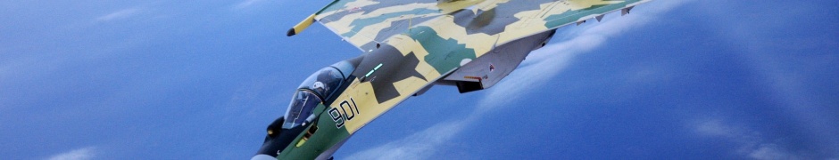 Camouflage Fighter Flight