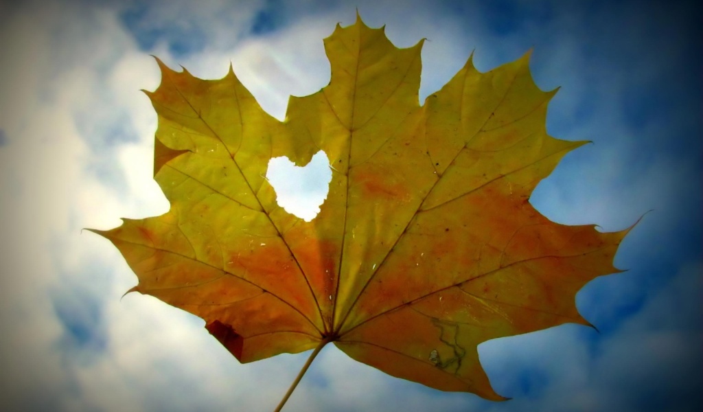 Canadian Maple Leaf Valentines Day