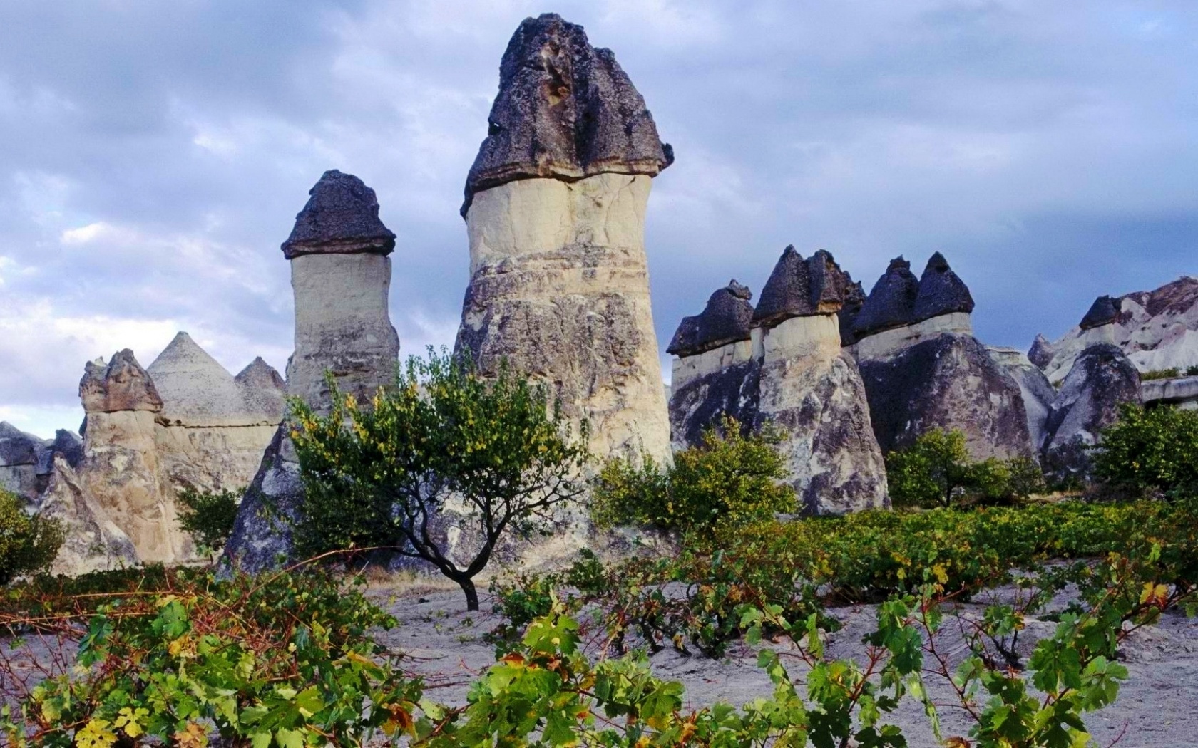 Cappadocia Chimneys Turkey