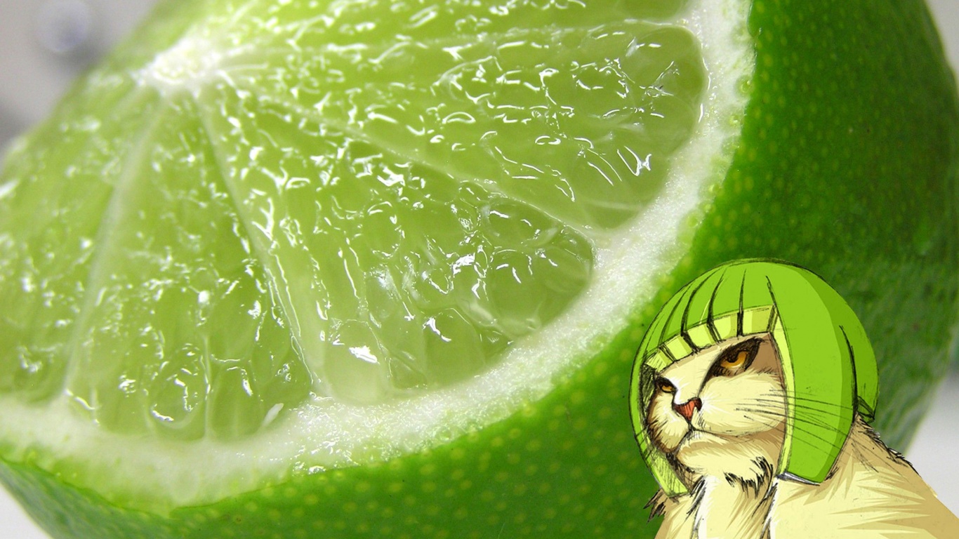 Cats Funny Lemons