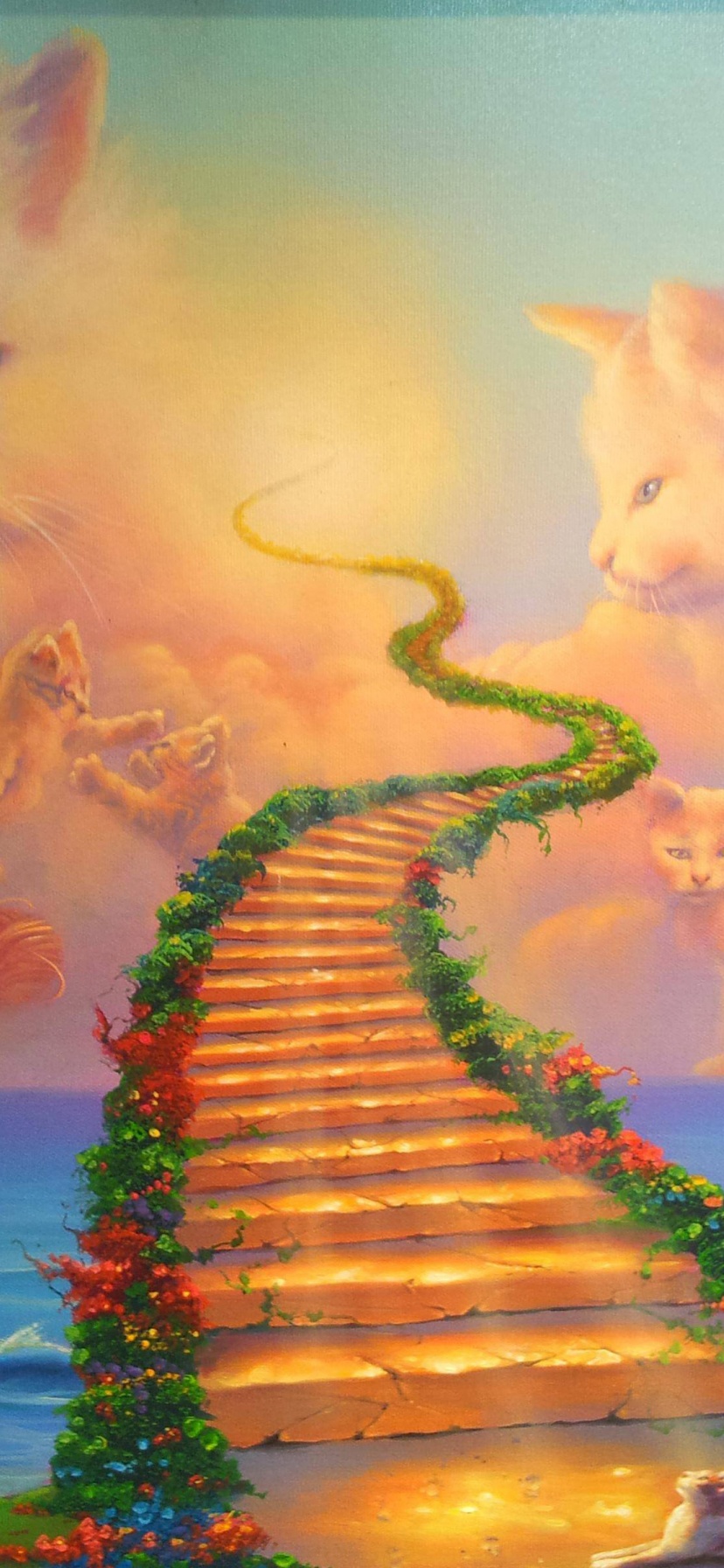 Cats Heaven