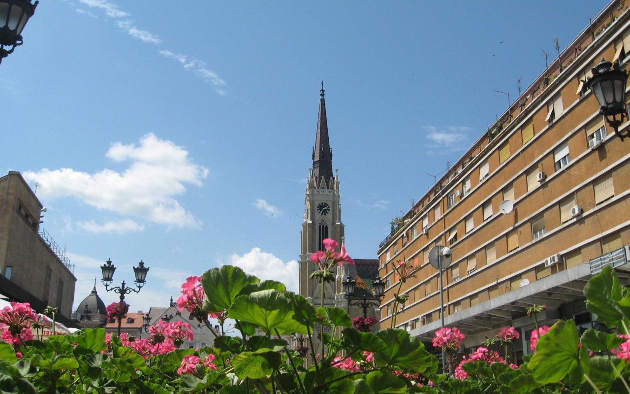 Centar Novi Sad Vojvodina Serbia