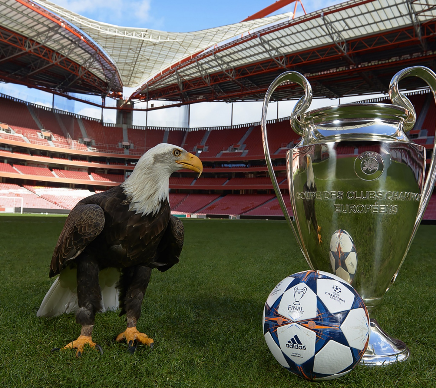 Champions League Final Lisbon 2014