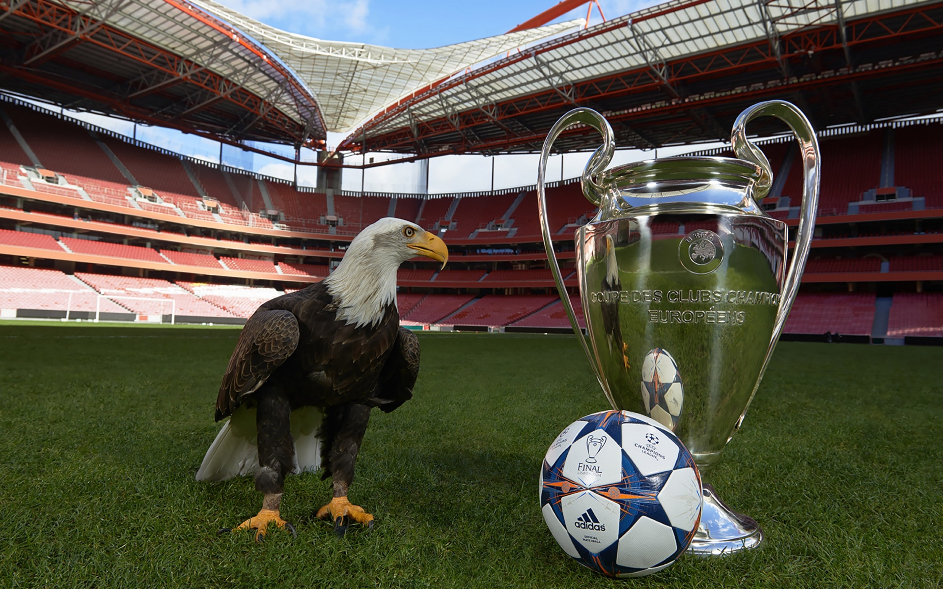 Champions League Final Lisbon 2014