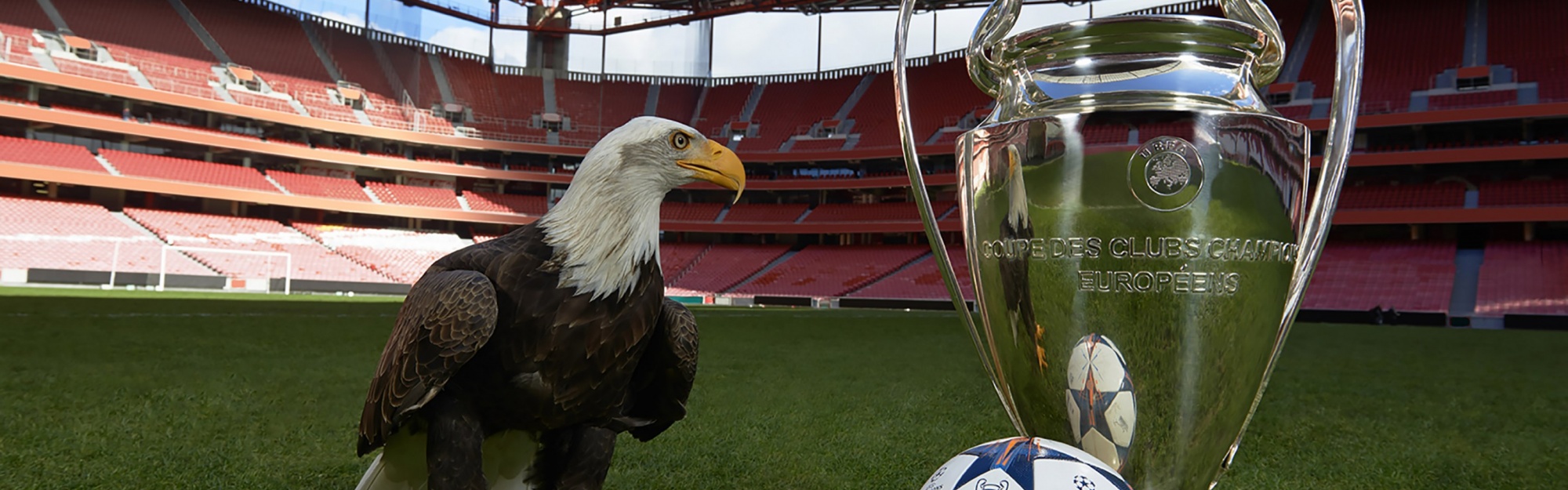 Champions League Final Lisbon 2014