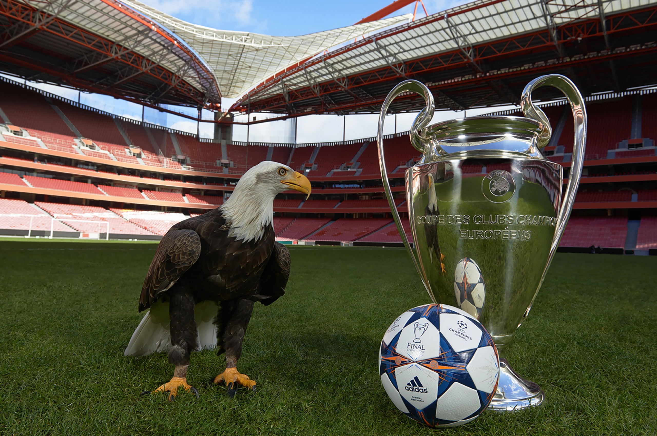 Champions League Final Lisbon 2014