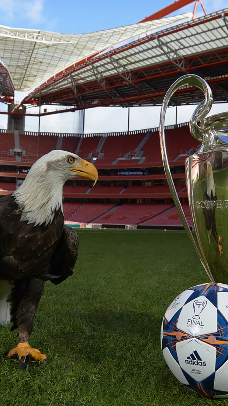 Champions League Final Lisbon 2014