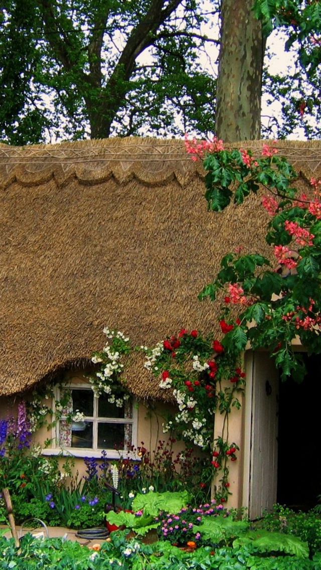 Chelsea Flower Show