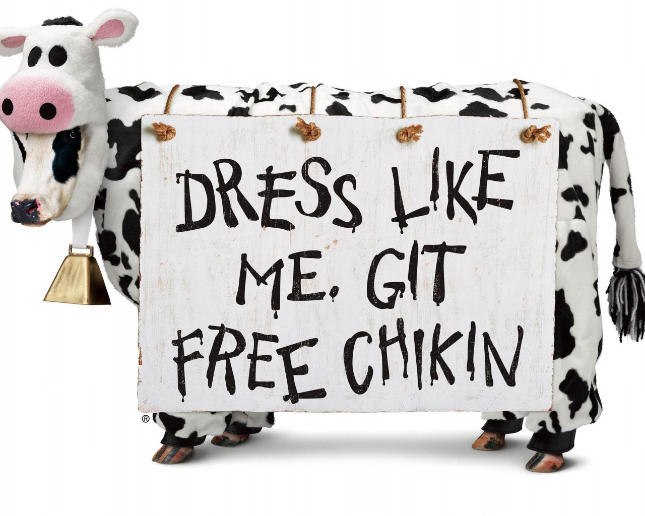 Chick Fil A Hi Cadhorzcowcolor