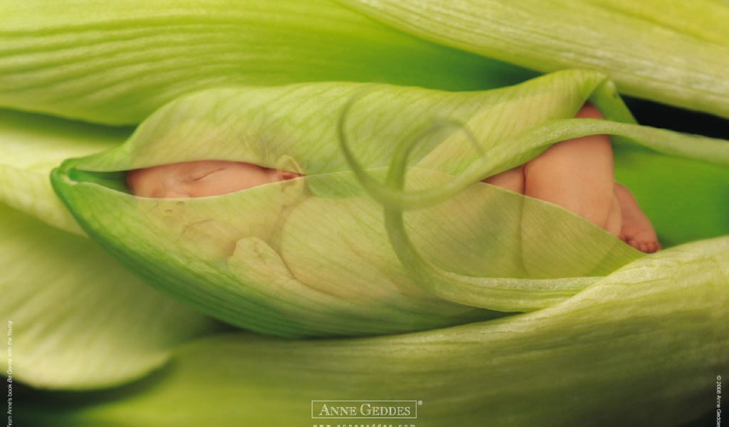 Child Leaves Sprouts Greens