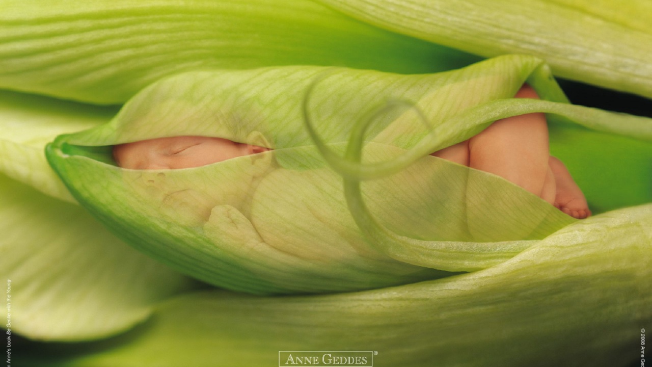 Child Leaves Sprouts Greens