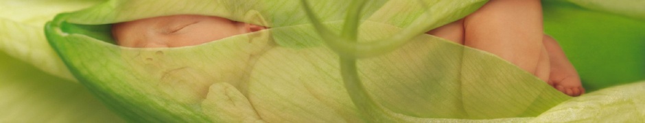 Child Leaves Sprouts Greens