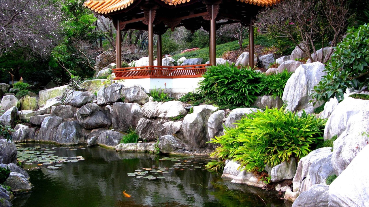 Chinese Garden Sydney Nsw Australia