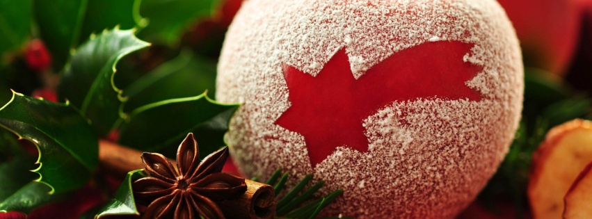 Christmas Apple