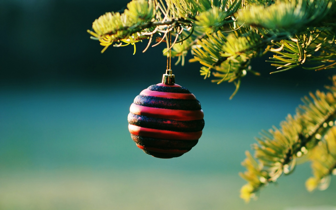 Christmas Balls On Pine Tree