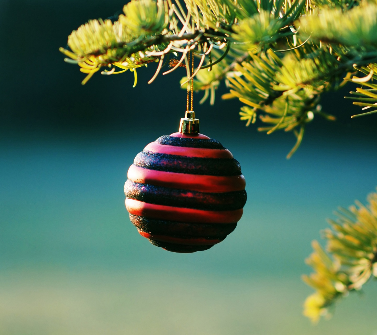 Christmas Balls On Pine Tree