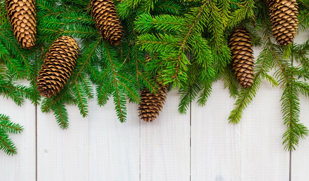 Christmas Branches Pine Cone