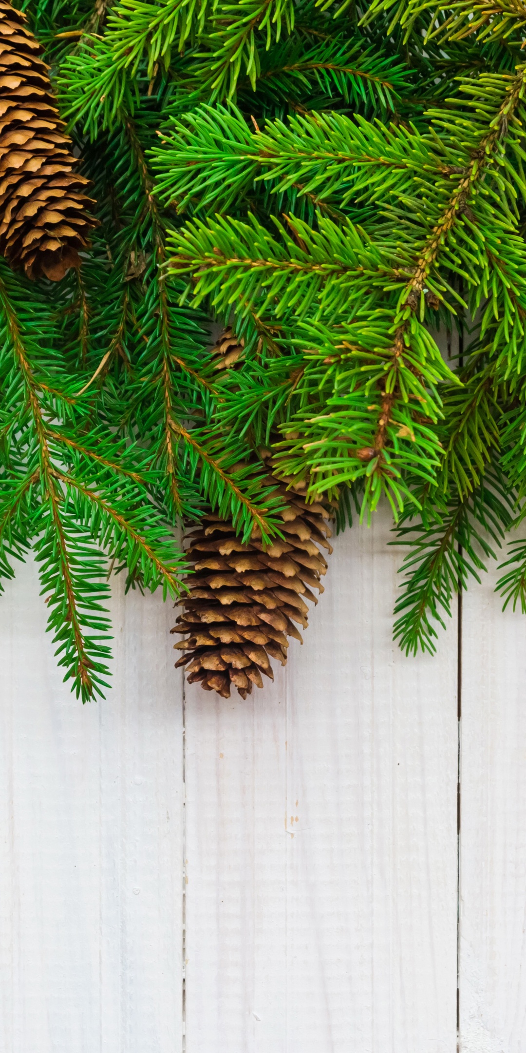 Christmas Branches Pine Cone