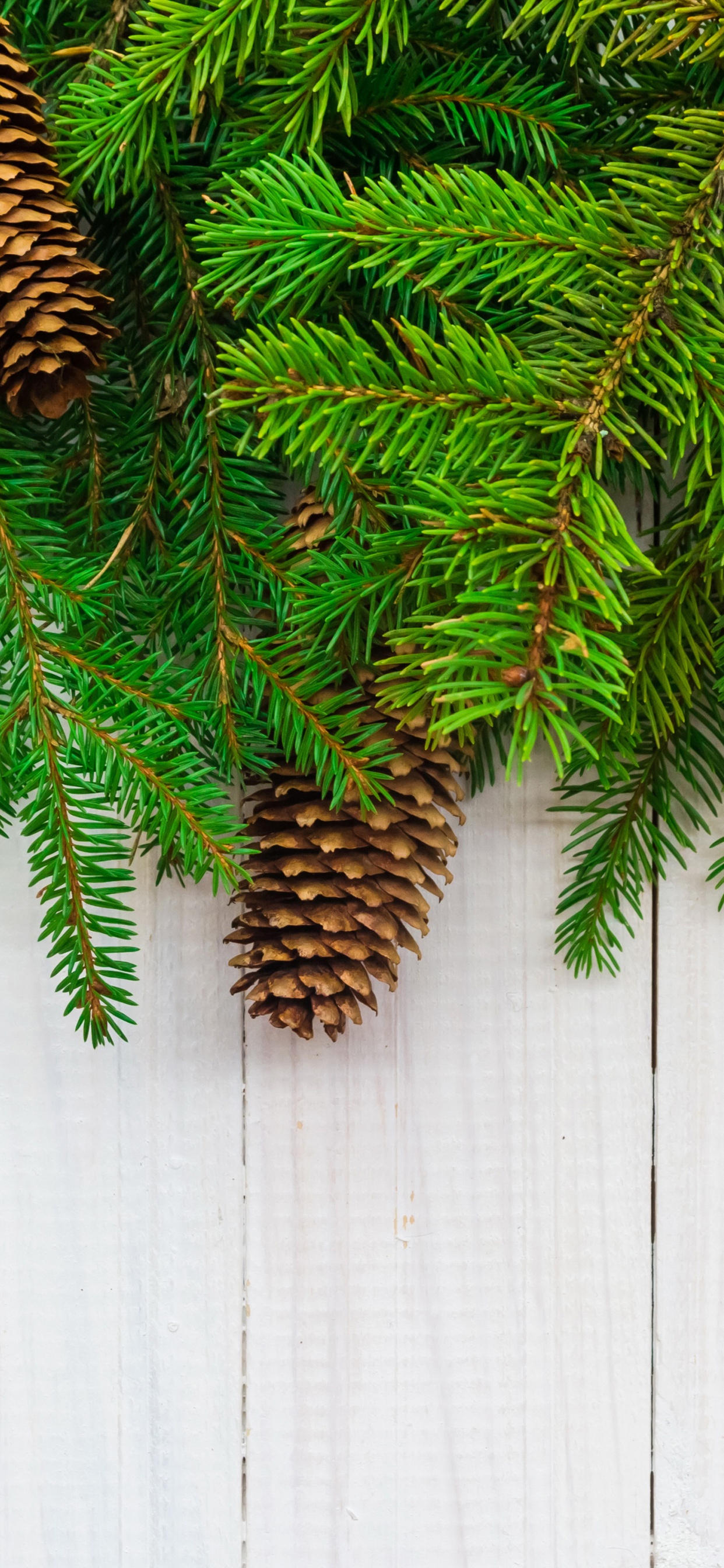 Christmas Branches Pine Cone