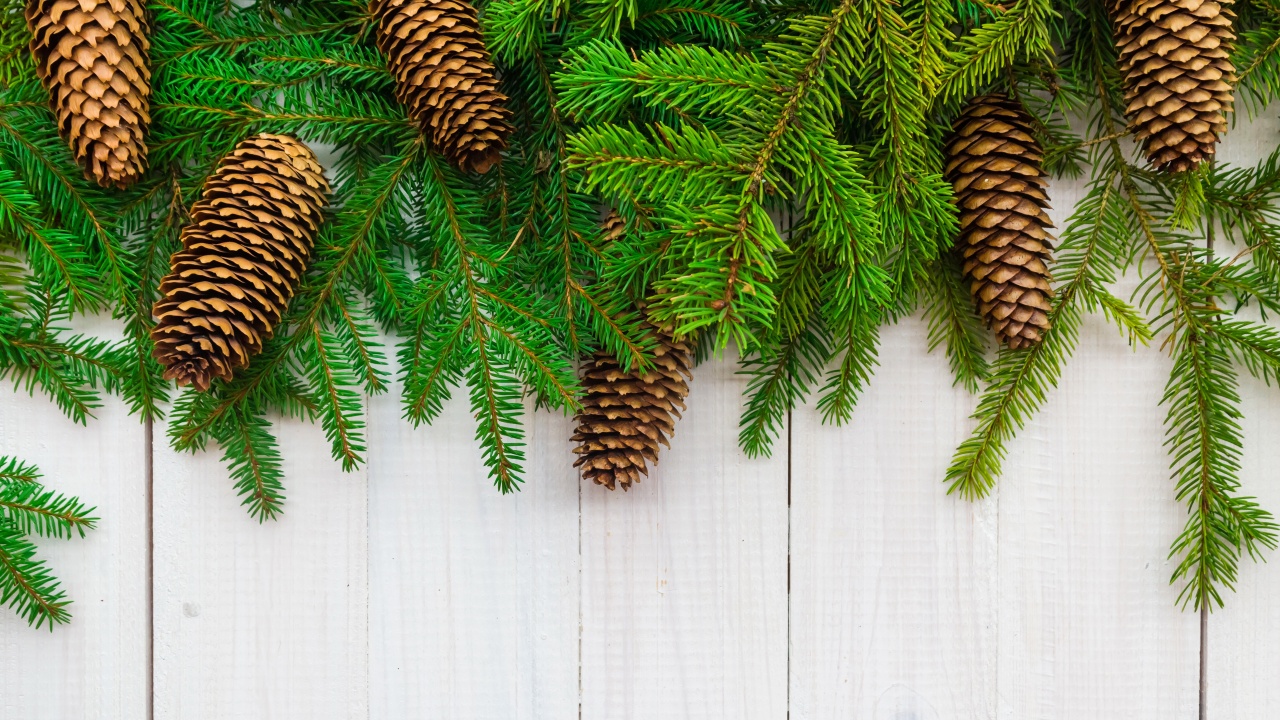 Christmas Branches Pine Cone