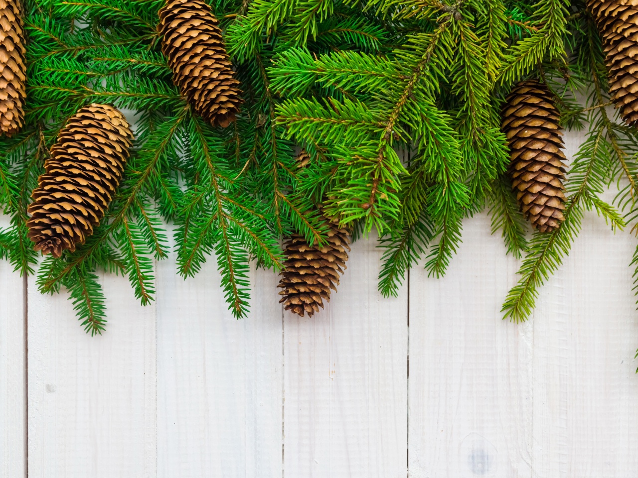 Christmas Branches Pine Cone