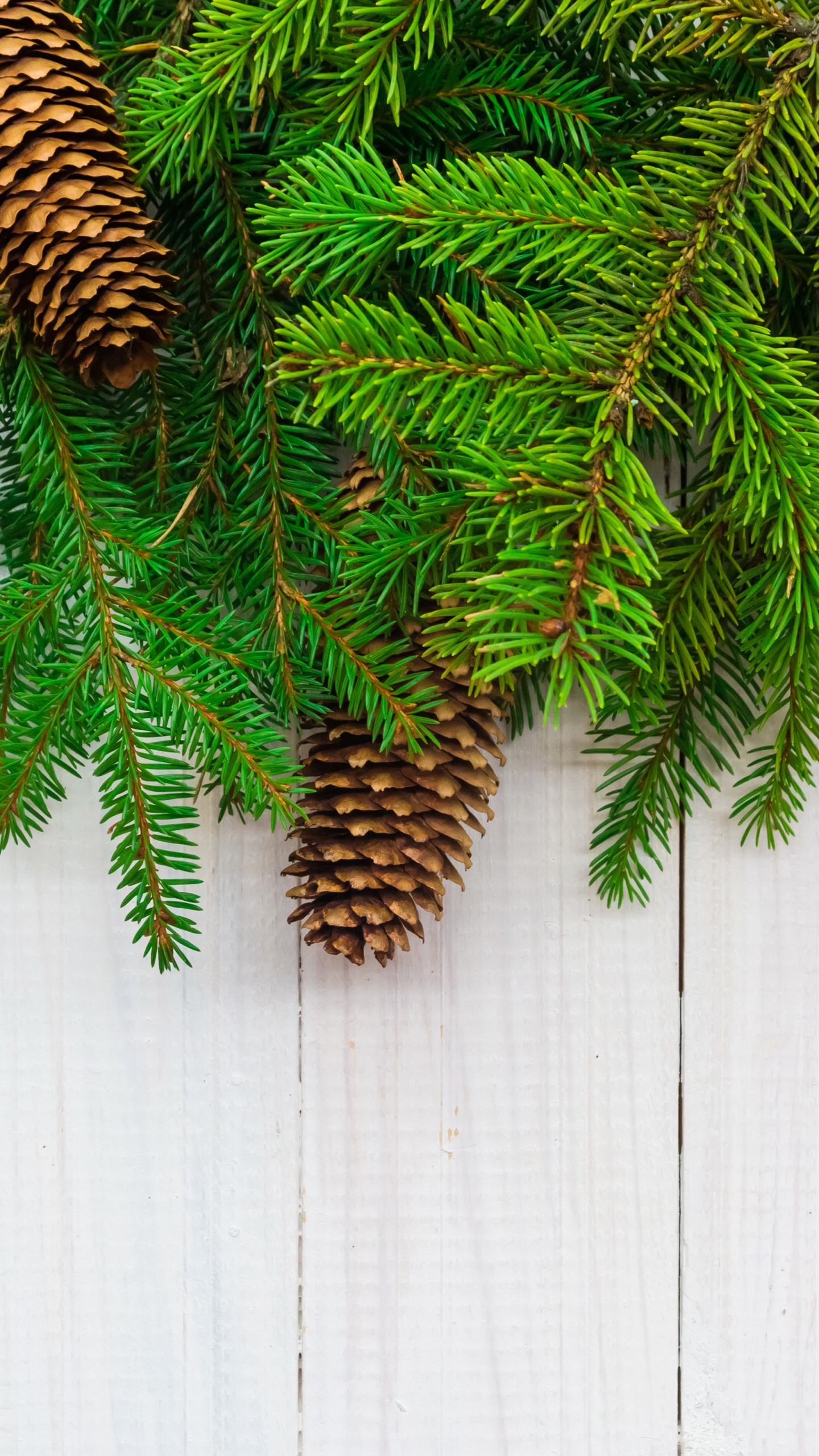 Christmas Branches Pine Cone