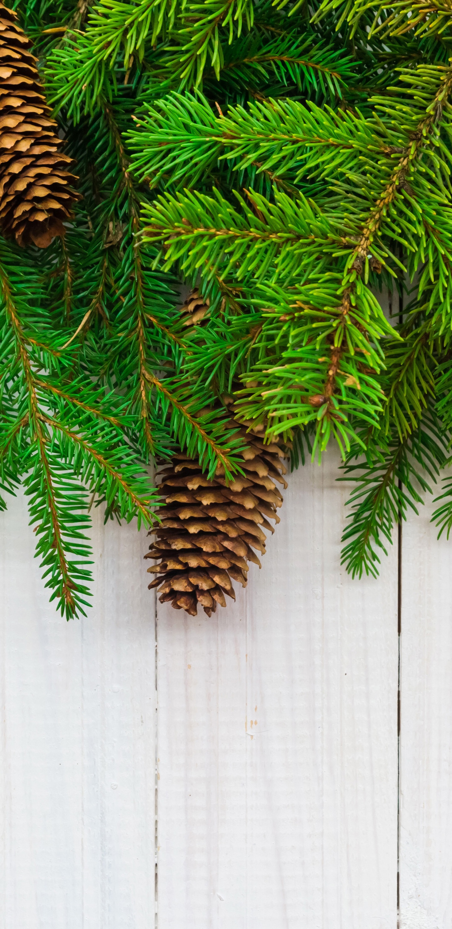 Christmas Branches Pine Cone