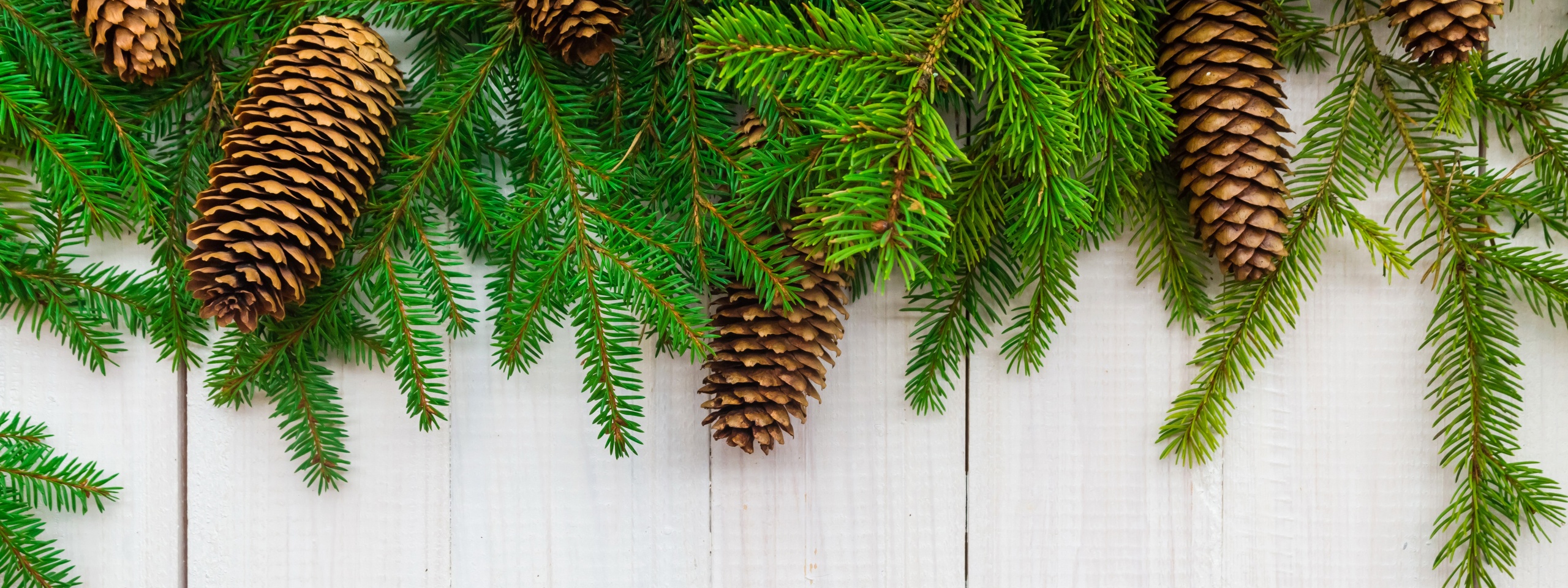 Christmas Branches Pine Cone