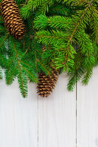 Christmas Branches Pine Cone