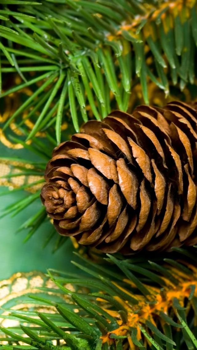 Christmas Pine