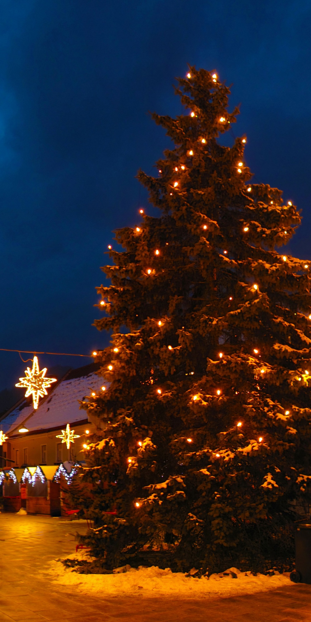 Christmas Tree On Street In Austria