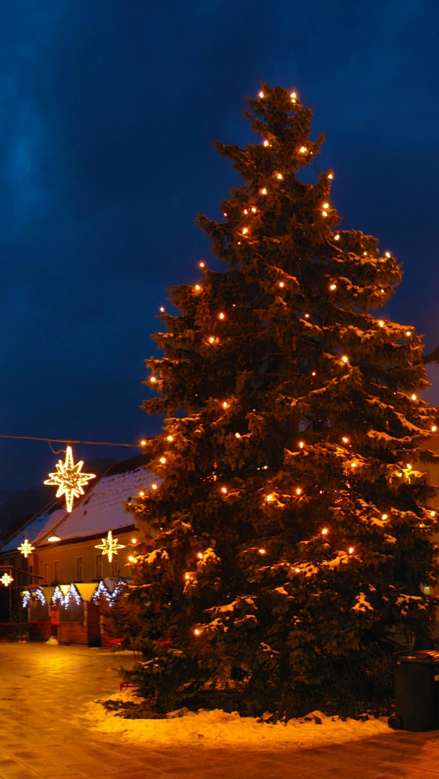 Christmas Tree On Street In Austria