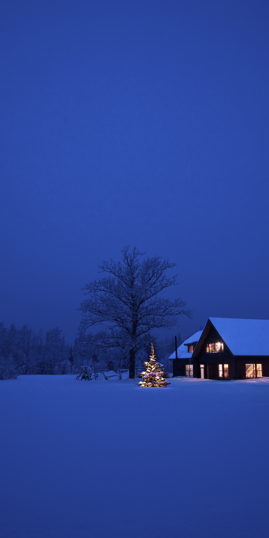 Christmas Winter Night