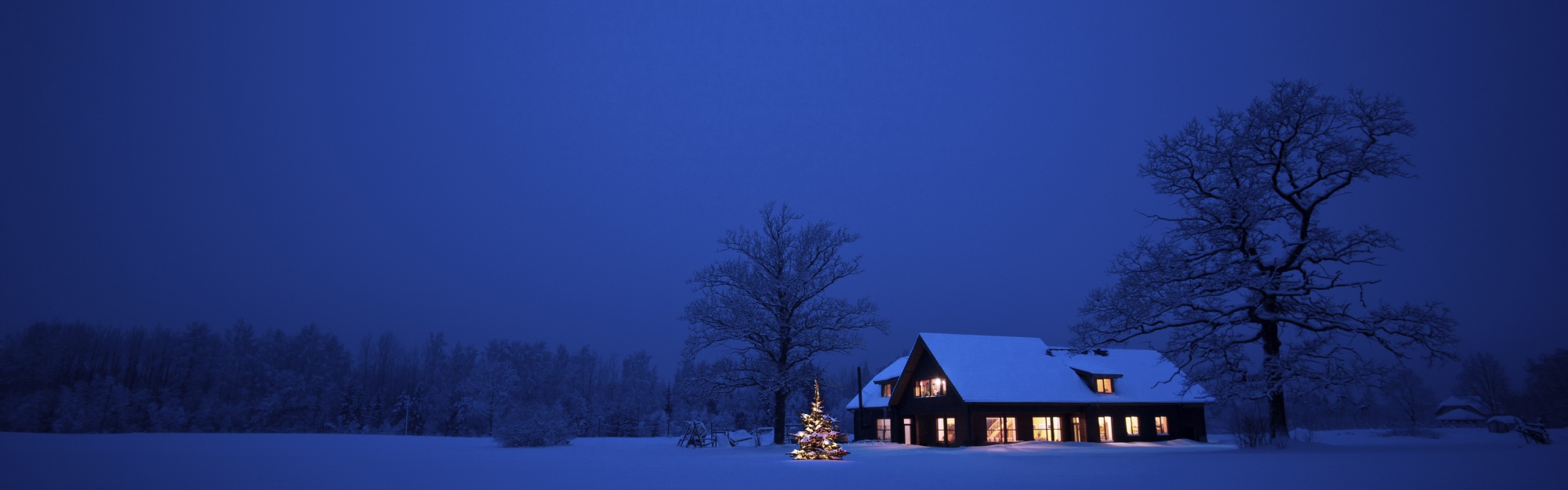 Christmas Winter Night