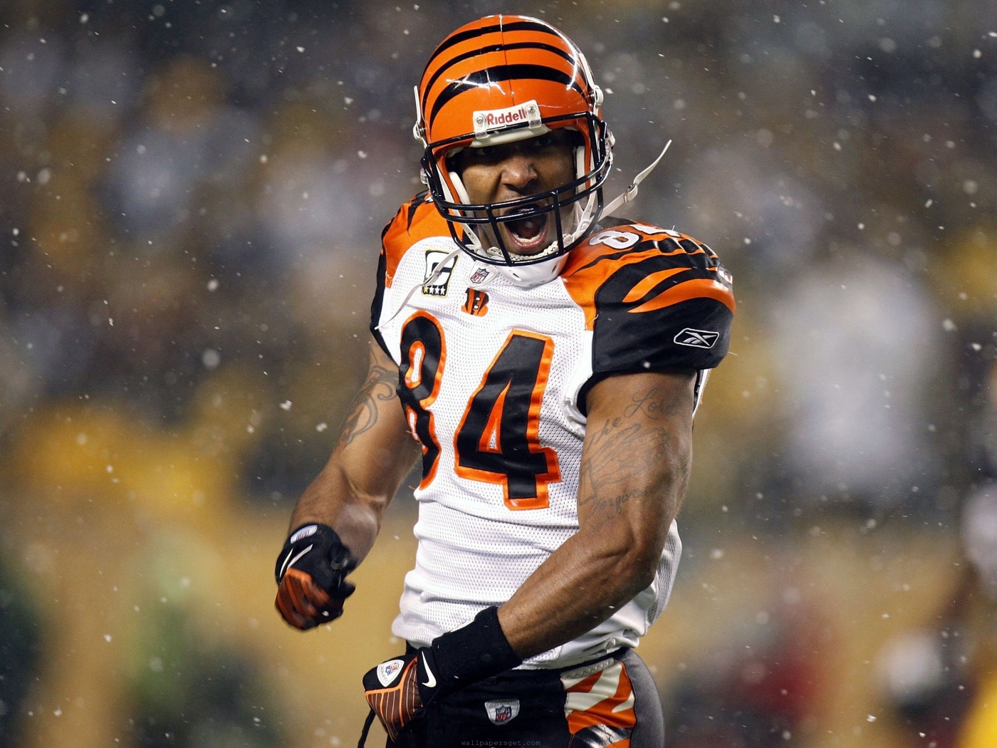 Cincinnati Bengals American Football Receiver Tj Houshmandzadeh