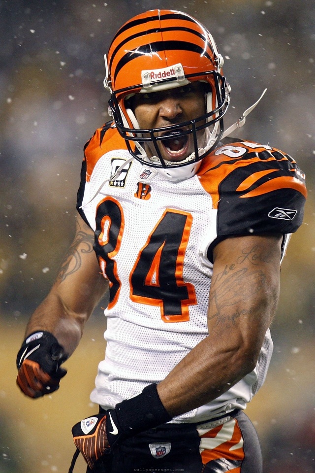 Cincinnati Bengals American Football Receiver Tj Houshmandzadeh