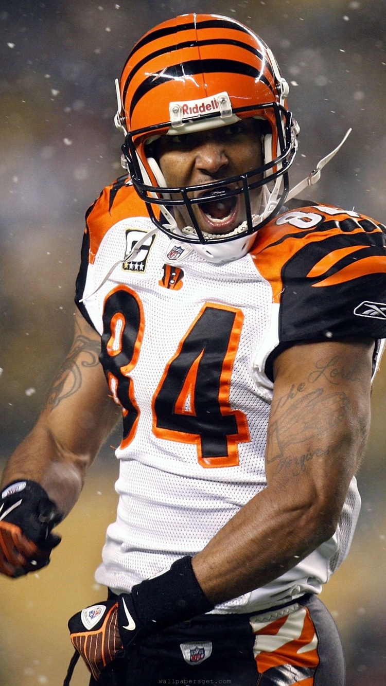 Cincinnati Bengals American Football Receiver Tj Houshmandzadeh