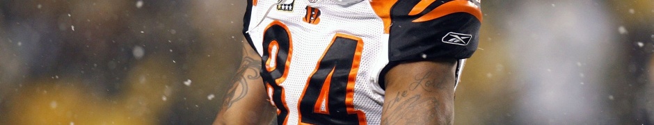 Cincinnati Bengals American Football Receiver Tj Houshmandzadeh