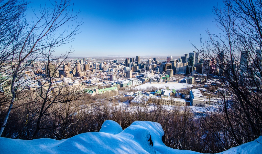 City Of Montreal In Winter