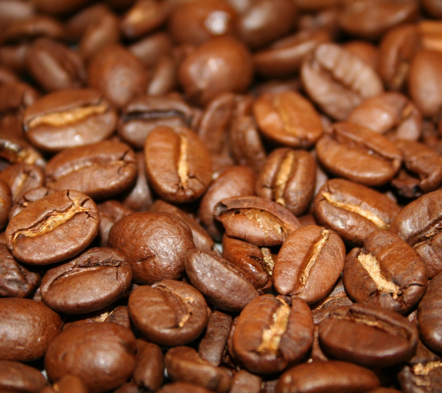 Coffee Beans