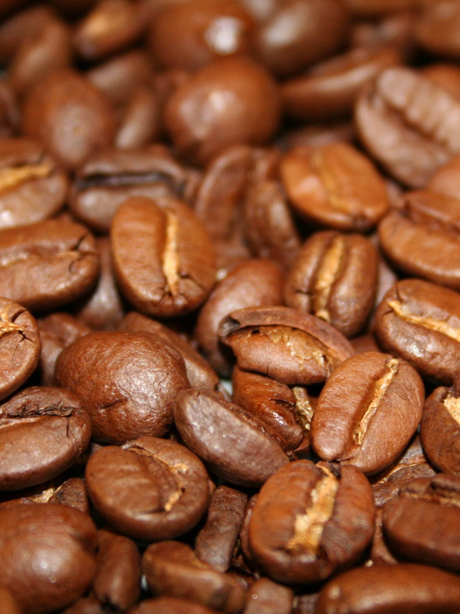 Coffee Beans