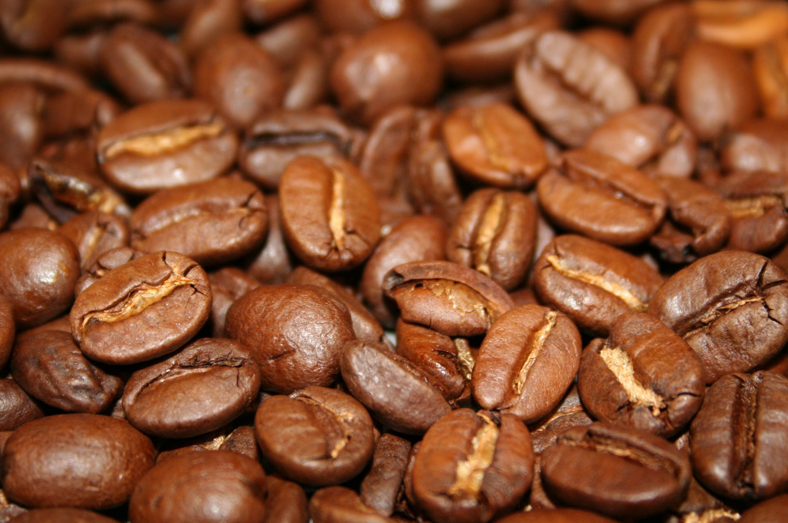 Coffee Beans