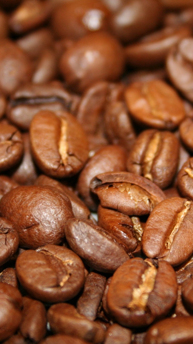 Coffee Beans