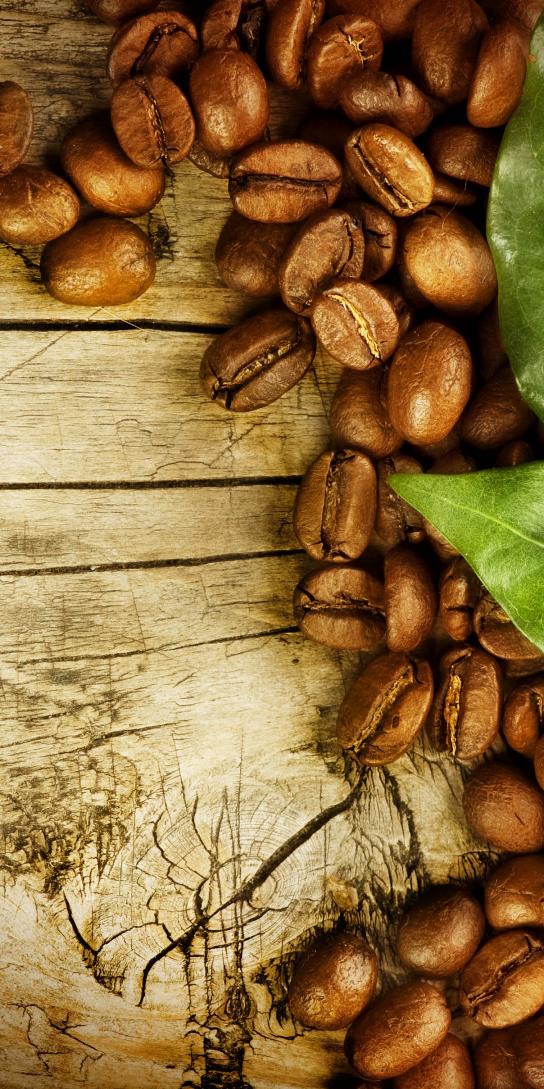 Coffee Beans And Leaves