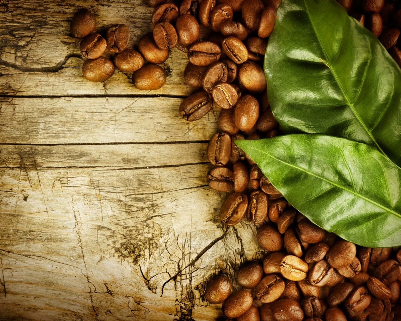 Coffee Beans And Leaves