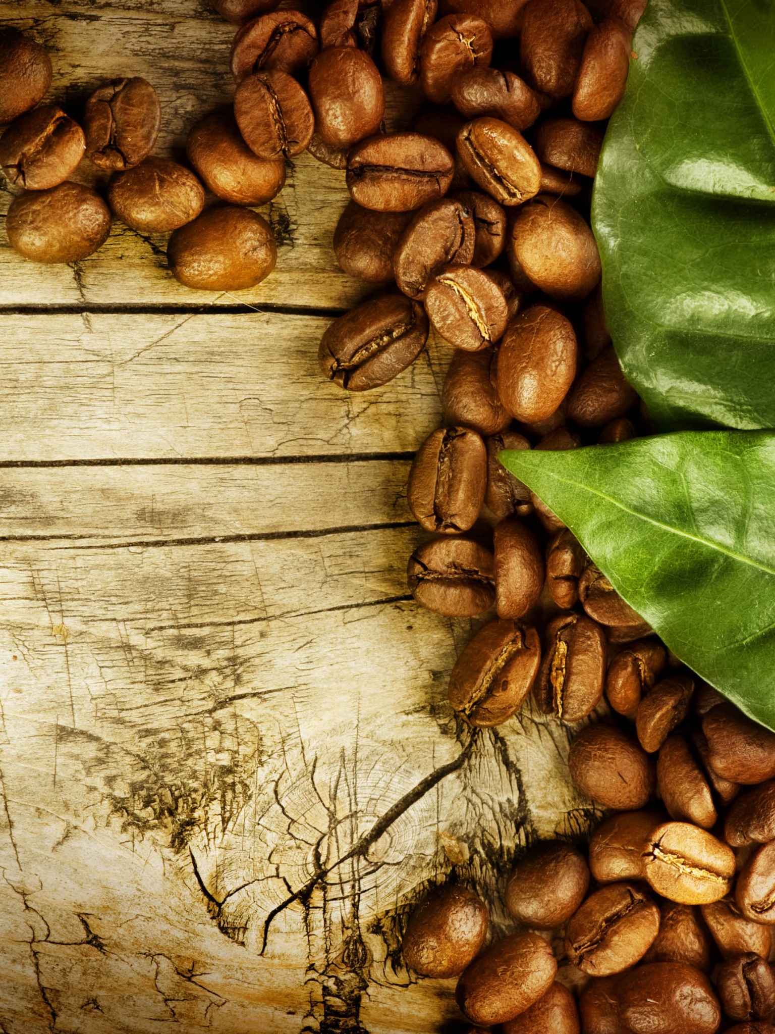 Coffee Beans And Leaves