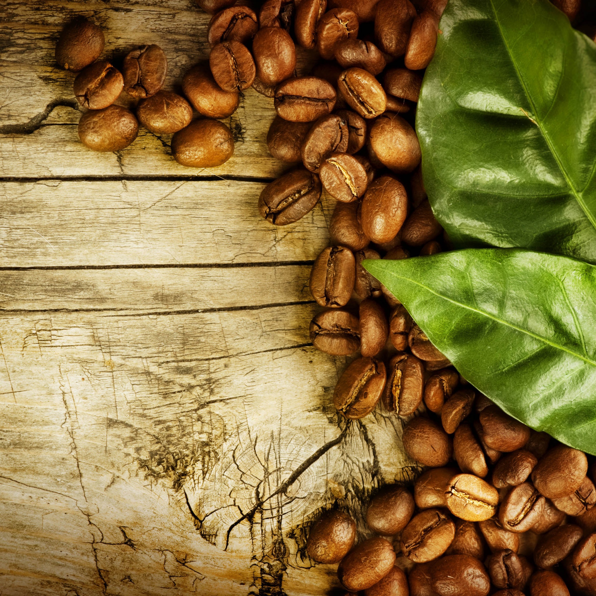 Coffee Beans And Leaves