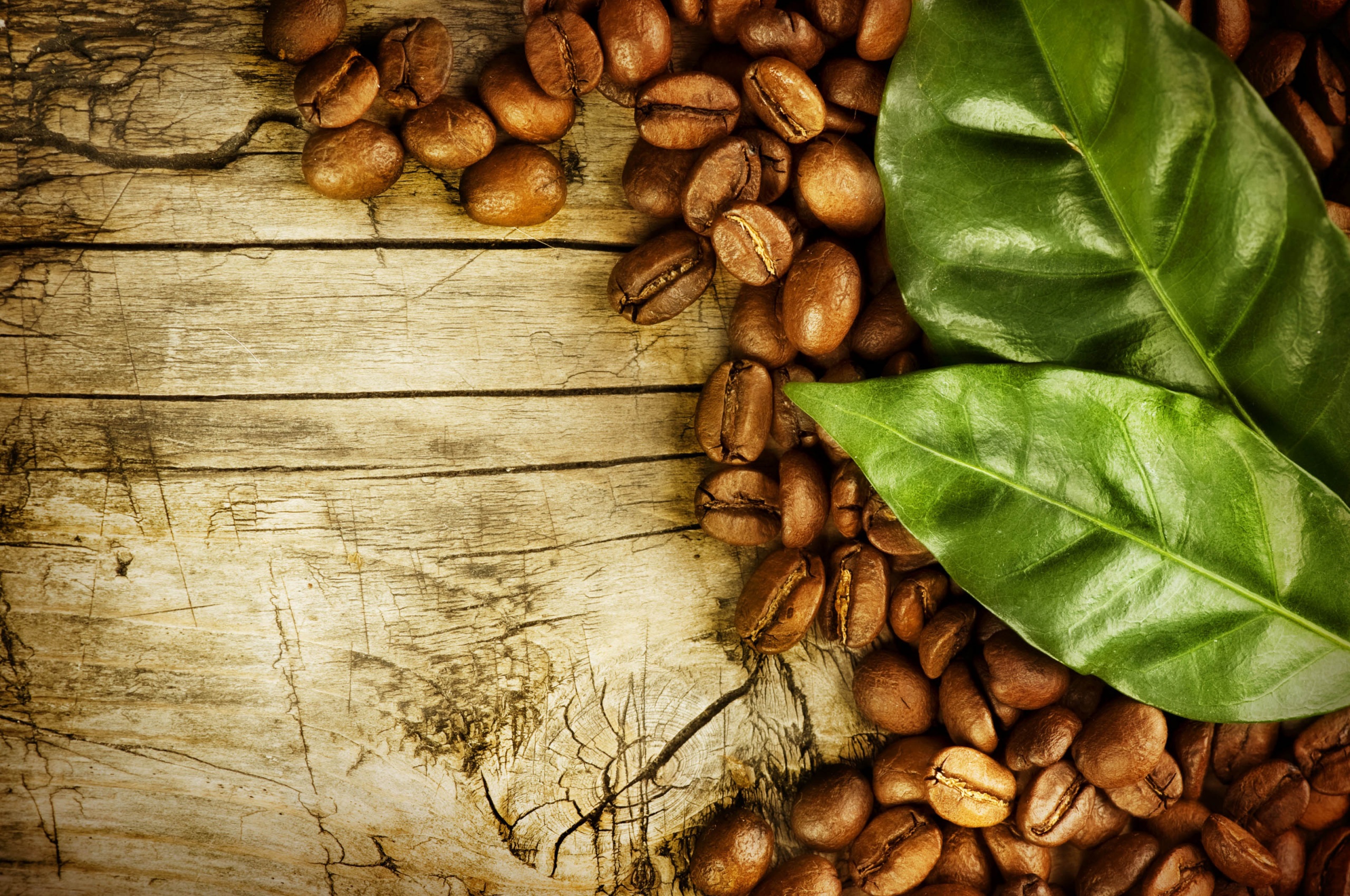 Coffee Beans And Leaves