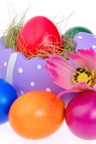 Colorful Easter Eggs And Decoration